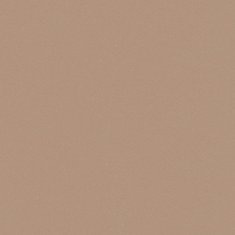 Feltro Liso 50x70 - Nude